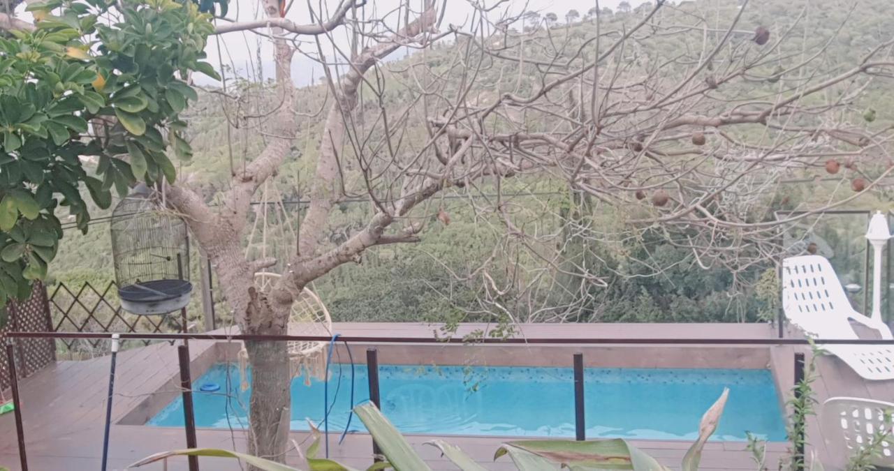 فندق Panoramic View Isfiya المظهر الخارجي الصورة