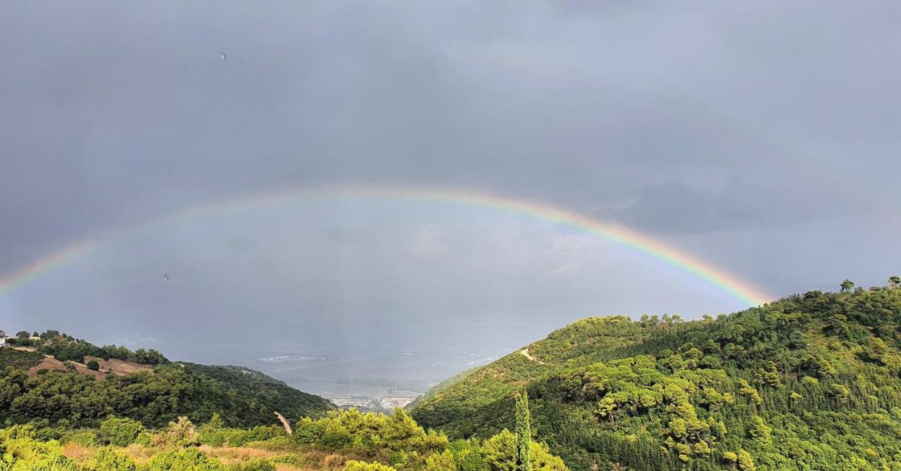 فندق Panoramic View Isfiya المظهر الخارجي الصورة
